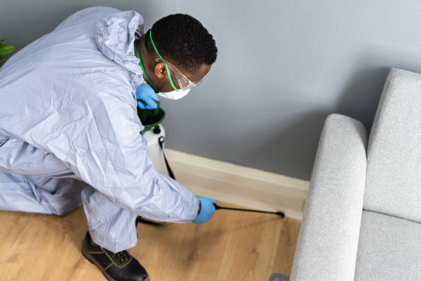 Best Real Estate Pest Inspections  in South Hooksett, NH